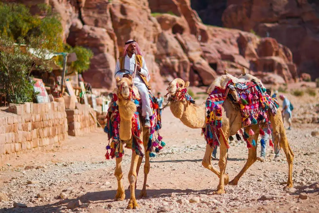 Camel Ride Petra