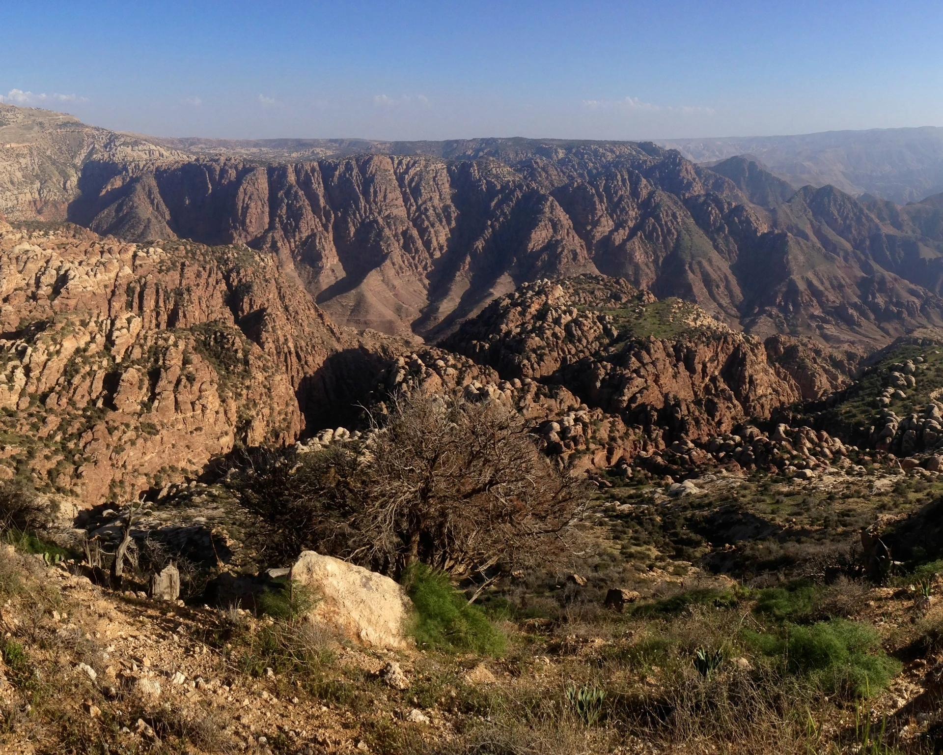 Dana Nature Reserve