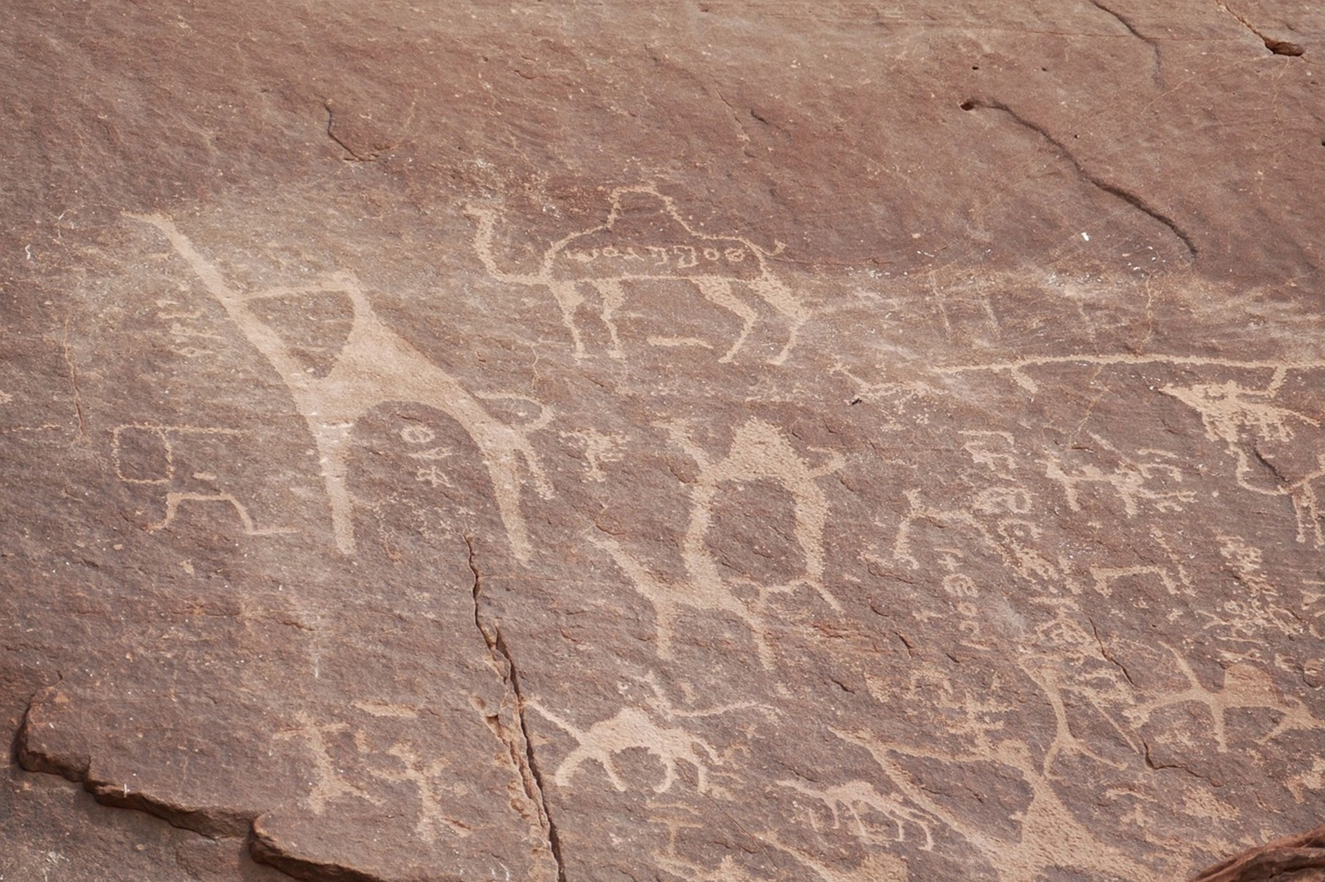 Rock Carvings Wadi Rum